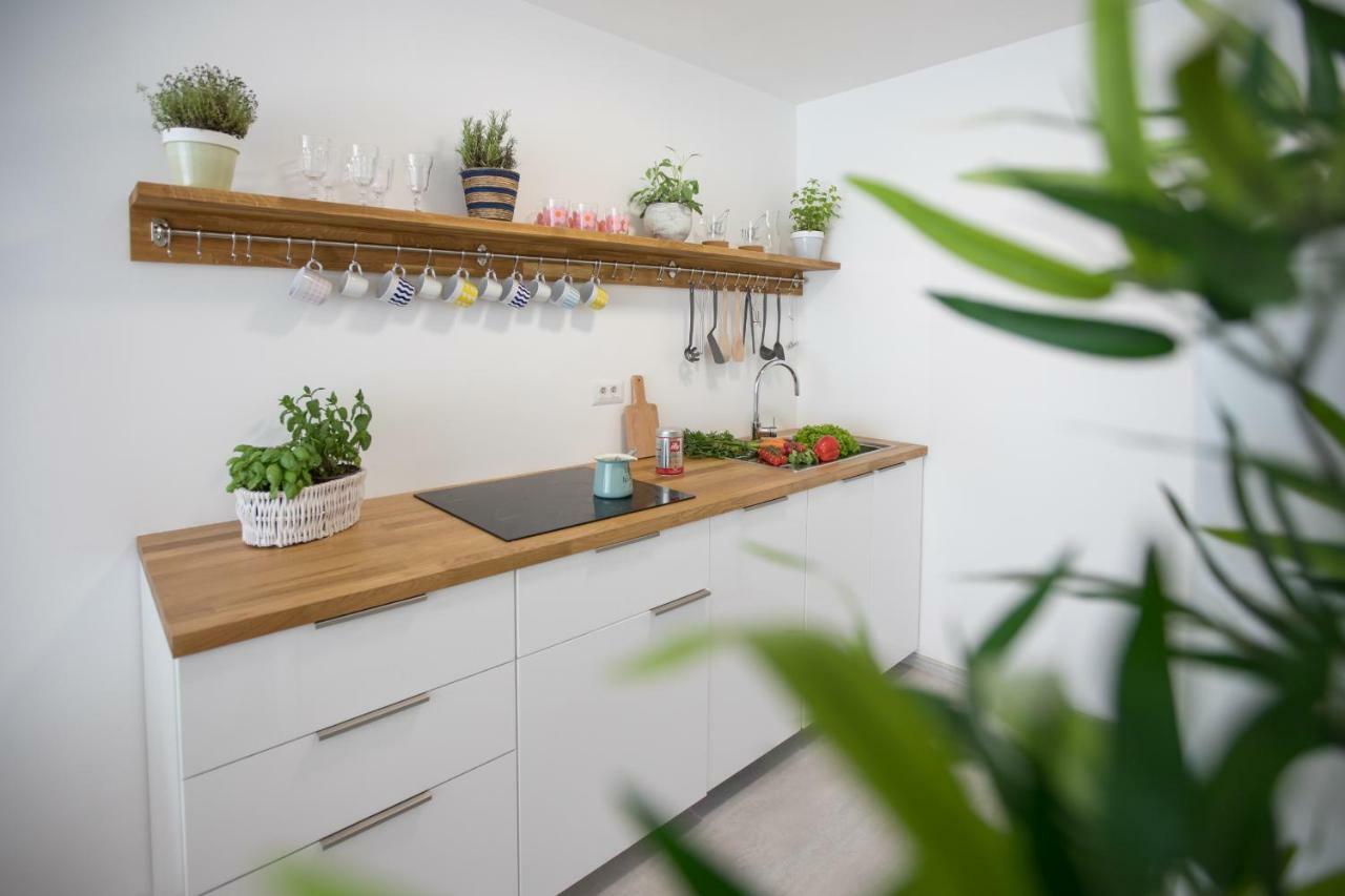 Family Apartment With Garden Liubliana Exterior foto